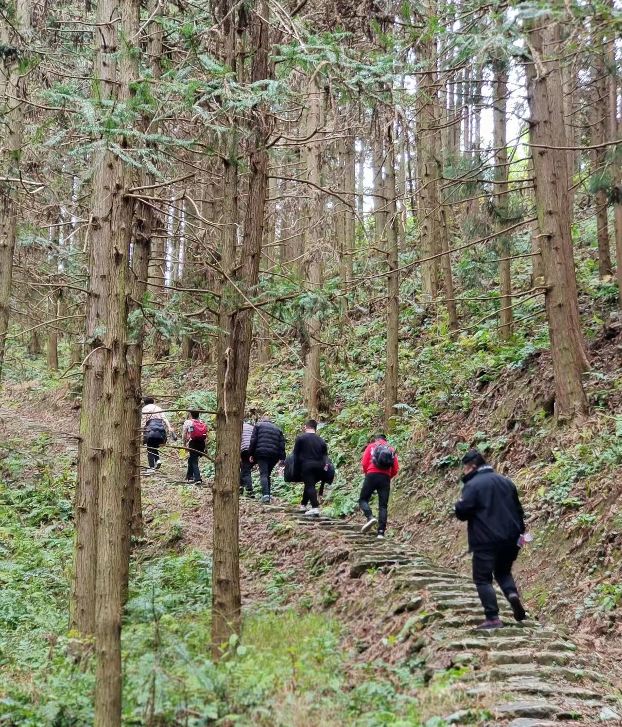 8667ed4e2135a70a9813a876d1a142a.jpg 8667ed4e2135a70a9813a876d1a142a.jpg